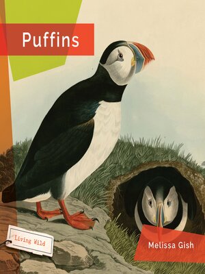 cover image of Puffins